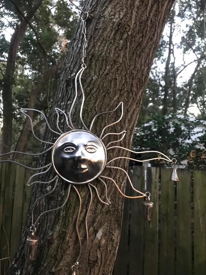 Tallahassee Sun & Moon Стая снимка